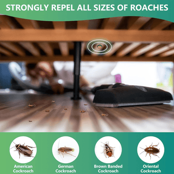 Cockroach Repellant Gel (Pack of 2)